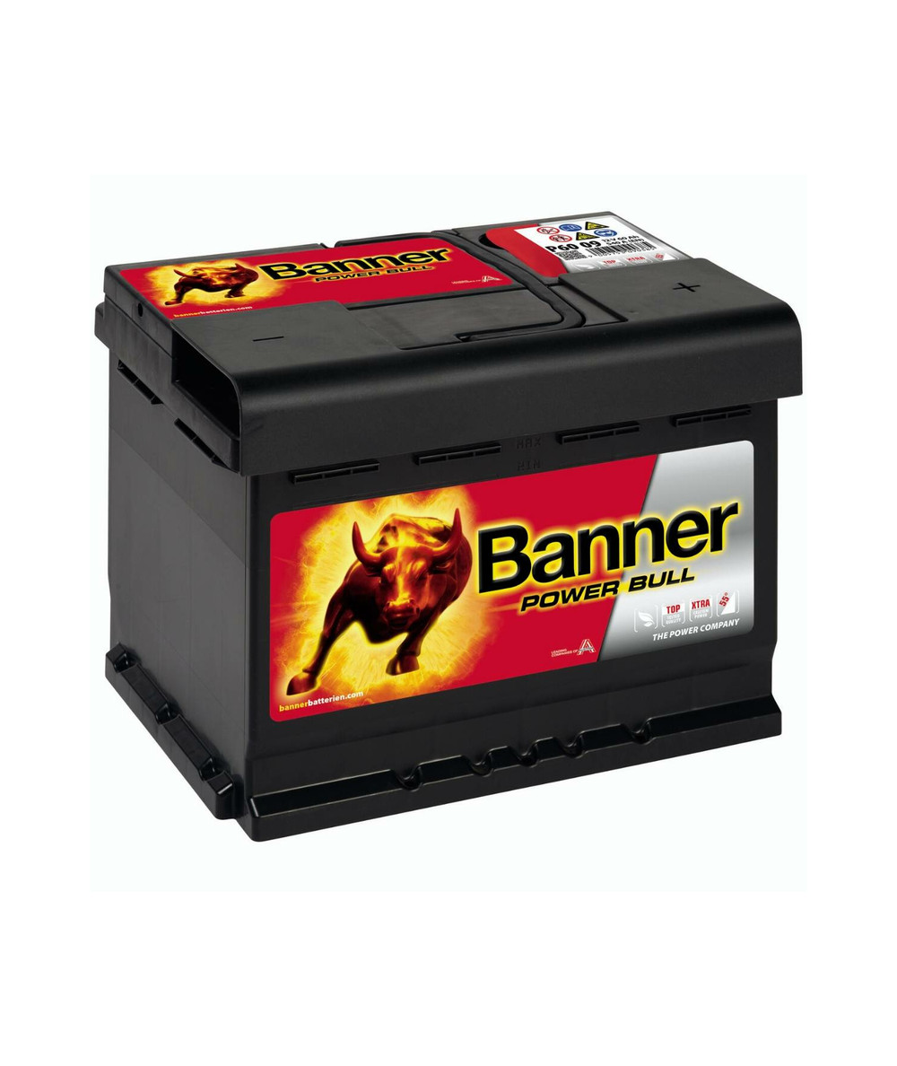 Armor Energie  Batterie Banner P6009